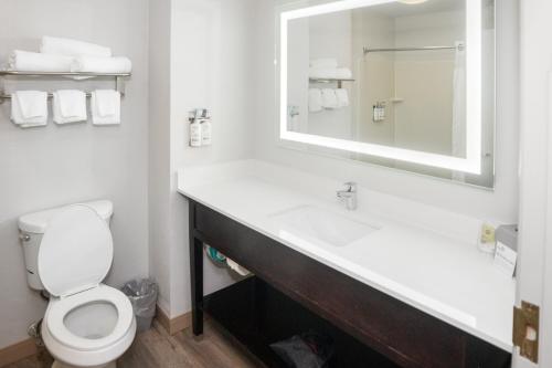 a bathroom with a sink and a toilet and a mirror at Holiday Inn Express and Suites Stroudsburg-Poconos, an IHG Hotel in Stroudsburg