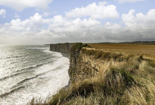 a cliff next to the ocean on a cloudy day at Ariel in Marcross