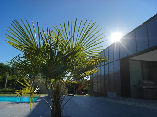 Bazén v ubytování Apartment SunBox nebo v jeho okolí
