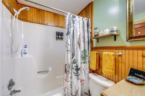 a bathroom with a toilet and a shower at Pet-Friendly Maggie Valley Cabin with Pool Access! in Maggie Valley
