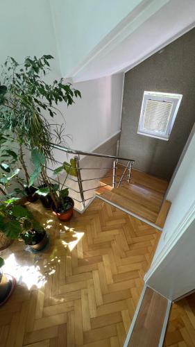 a room with a staircase with potted plants at Villa Amir in Sarajevo