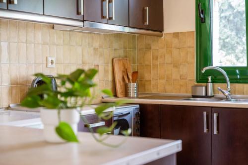a kitchen with brown cabinets and a sink and a plant at Aiora Suites in Sivota