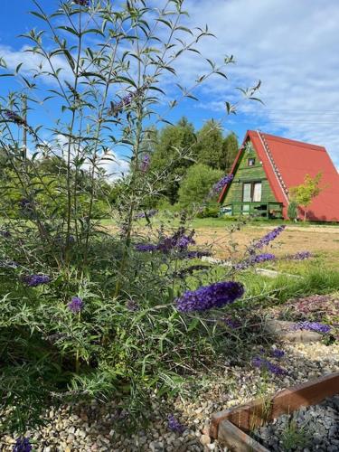 a garden with purple flowers in front of a house at Siedlisko Kępina Zdrój in Ostrów