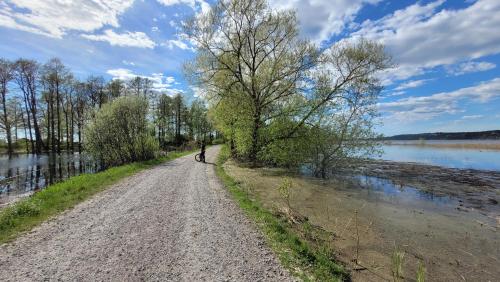 a person riding a bike on a dirt road next to a lake at Mysig stuga i Svärtinge in Svärtinge
