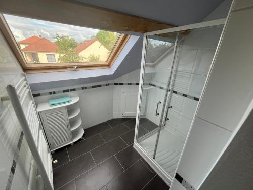 a bathroom with a shower and a window at La Coraline in Laubressel