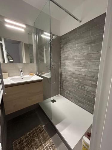 une salle de bain avec douche et lavabo dans l'établissement Appartement en face mer, à Six-Fours-les-Plages