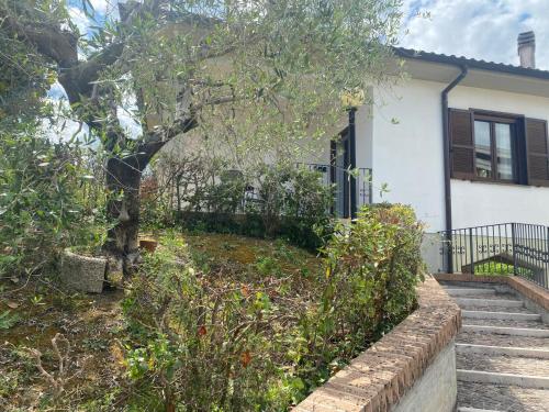 a house with a tree and stairs in front of it at Casa Isa in Narni Scalo