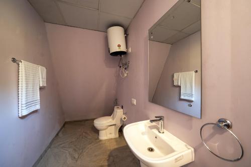 a bathroom with a sink and a toilet and a mirror at Kainchi Retreat near Kainchi Dham in Rāmgarh