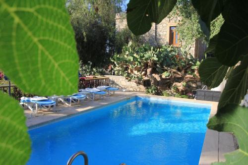 達特恰的住宿－Eski Datça Pansiyon，一座带椅子和植物的大型蓝色游泳池