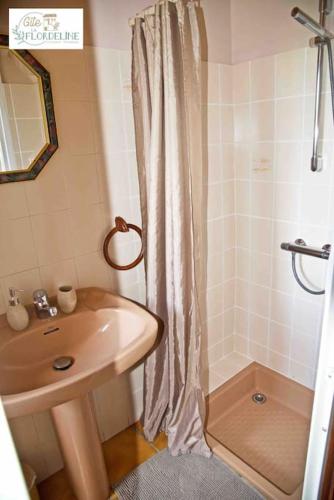 une salle de bain avec un lavabo et un rideau de douche dans l'établissement LA FLORDELINE classé 2 étoiles draps et serviettes non fournis, à Montbazens