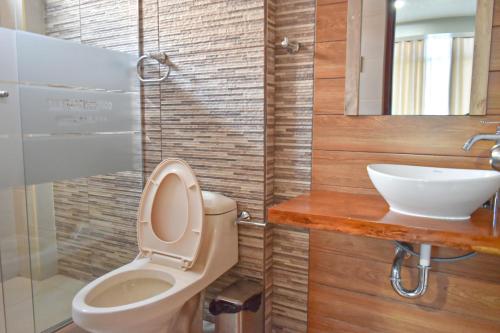 ein Bad mit einem WC und einem Waschbecken in der Unterkunft Hotel San Francisco in Huánuco