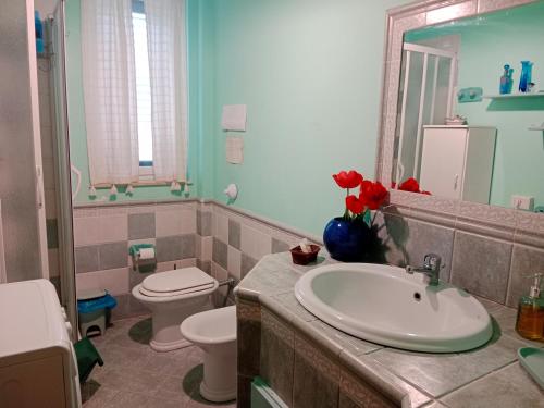 a bathroom with a sink and a toilet and a mirror at Odori di zagara in Caltanissetta