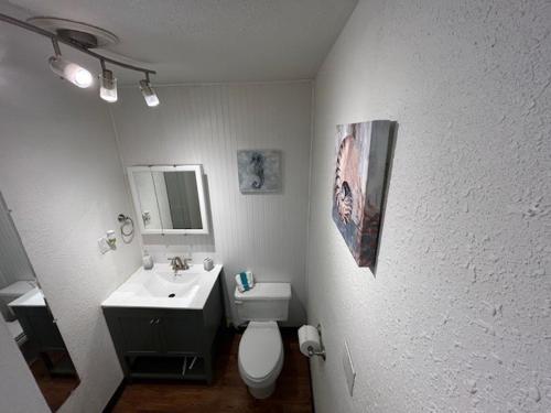 ein Badezimmer mit einem Waschbecken, einem WC und einem Spiegel in der Unterkunft 3 bedroom, 2 bath 1 min walk to the beach in Bullhead City