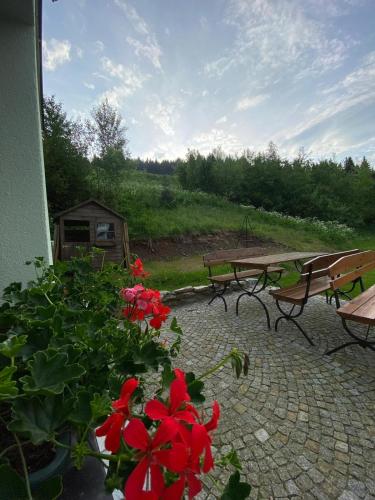a group of benches and red flowers on a patio at Pod Orlicą in Duszniki Zdrój