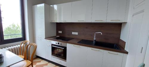 La cuisine est équipée de placards blancs, d'un évier et d'un four. dans l'établissement Daisy, à Vichy