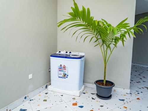 Fotografie z fotogalerie ubytování Appartement Ibiza v destinaci Cotonou