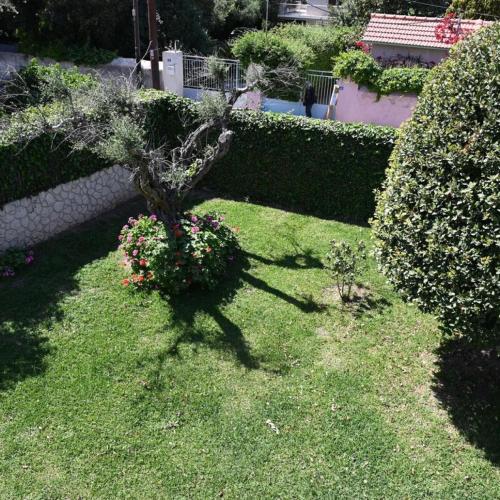 a garden with a small tree in the grass at Beverley's House Rio in Rio
