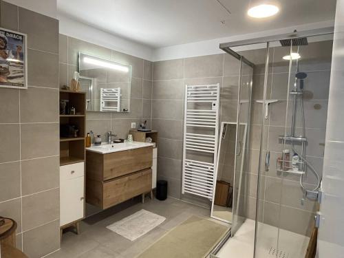 une salle de bain avec un lavabo et une douche dans l'établissement Appartement jardin de livia 2 rez de jardin, à Porticcio