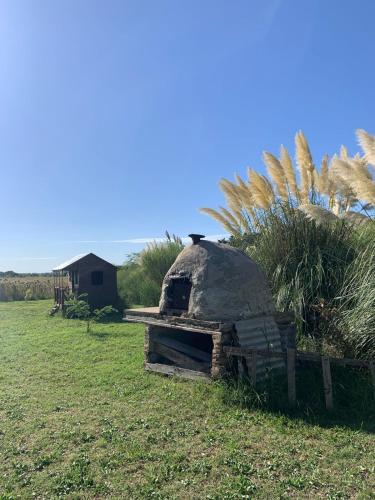 an old brick oven sitting in a grass field at Casa rústica in San Pedro