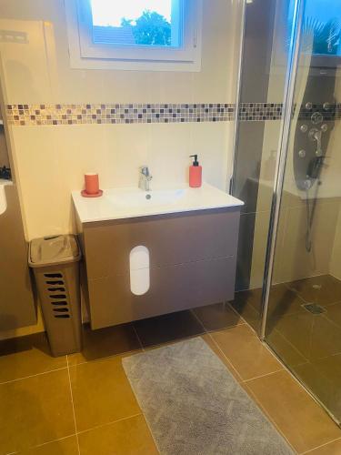 une salle de bain avec un lavabo et une douche dans l'établissement Belle maison lumineuse, à Bailly-Romainvilliers