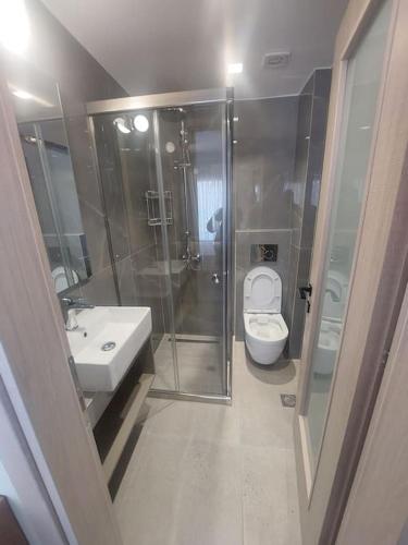 a bathroom with a shower and a toilet and a sink at Anesis Luxury Hospitality in Karpathos Town