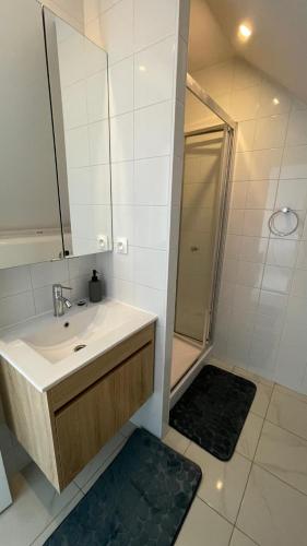 une salle de bain avec un lavabo et une douche dans l'établissement Studio indépendant clair et calme, à Lannion