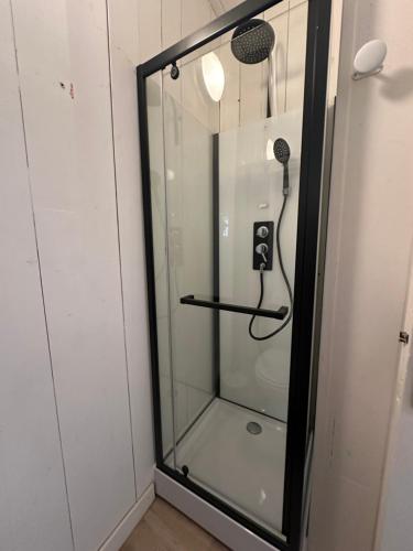 d'une douche avec une porte en verre et un microphone. dans l'établissement Charmant studio Carmes 2 - CDDT, à La Rochelle