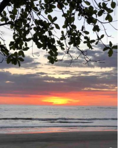 a sunset on the beach with a tree branch at Beachfront tiny Bungalow in Boca de Ario