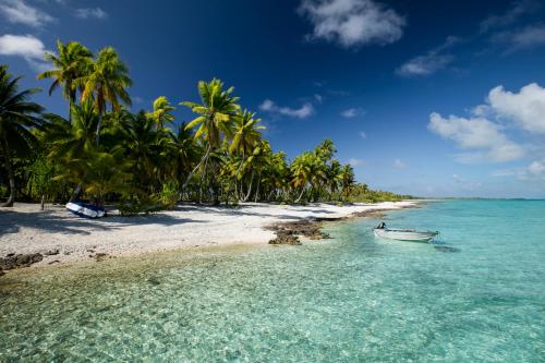 a boat in the water on a beach with palm trees at Fafarua Private Island in Tikehau