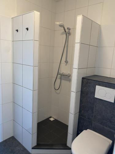 a bathroom with a shower with a toilet at Beach Dream 3C in Petten