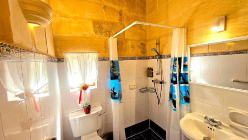 uma casa de banho com um chuveiro, um WC e um lavatório. em Ta Katrin 3 Bedroom Farm House em Xaghra