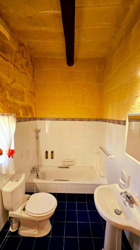 a bathroom with a toilet and a tub and a sink at Traditional Farmhouse Central Gozo in Xagħra