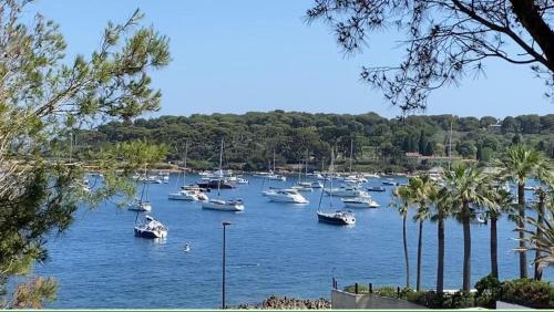 Cap d Antibes Villa contemporaine pied dans l eau