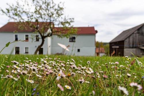 a field of flowers in front of a white building at Familienapartment Vogtland in Saalig