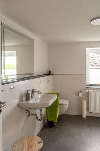 a bathroom with a sink and a toilet at Familienapartment Vogtland in Saalig