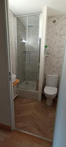 uma casa de banho com um WC e uma cabina de duche em vidro. em maison des résidences de la mer em Courseulles-sur-Mer