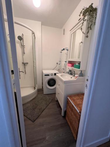 une salle de bain avec une douche, des toilettes et un lavabo dans l'établissement Bel appartement très lumineux Hyper centre, au Mans