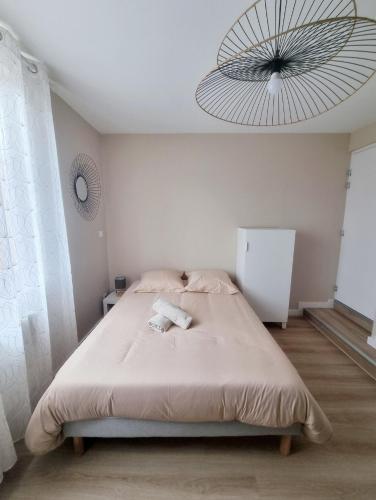 - une chambre avec un grand lit et un ventilateur dans l'établissement L'Aiglon de Foch 3 #ACCES FAC#, à Grenoble