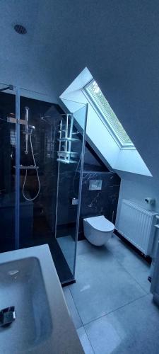 a bathroom with a shower and a toilet and a skylight at Pod Kasztanami in Żarnowska