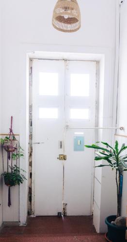 a white door in a room with a potted plant at Agüita House in Las Palmas de Gran Canaria