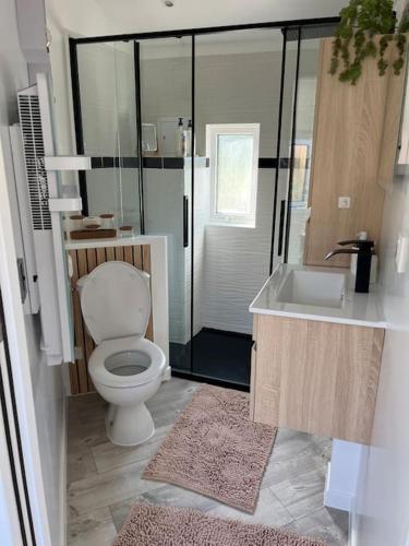 a bathroom with a toilet and a shower and a sink at Equi-Lodge Jacuzzi au coeur des chevaux & de la nature proche Disney in La Houssaye-en-Brie