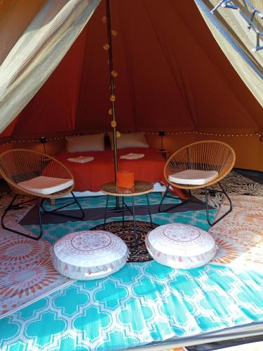 Tente au milieu des chevaux