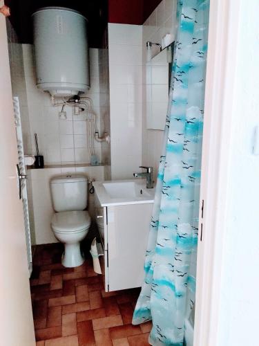 une salle de bain avec toilettes, lavabo et rideau de douche dans l'établissement Agréable studio proche plages et commerces, au Pradet