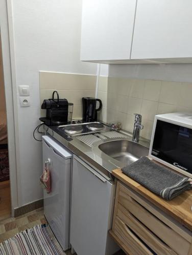 une cuisine avec un évier et un micro-ondes dans l'établissement Appart Authentique et confortable - Marais, à Paris
