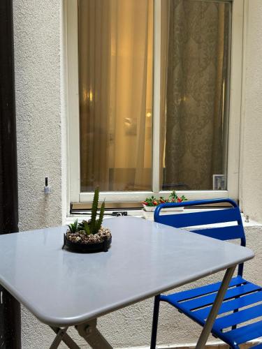 a table with a potted plant and two blue chairs at Duomo Nest entire apartment in Trento