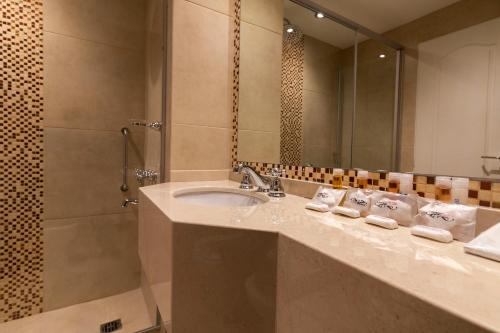 uma casa de banho com um lavatório e um chuveiro em Intersur Suites em Buenos Aires