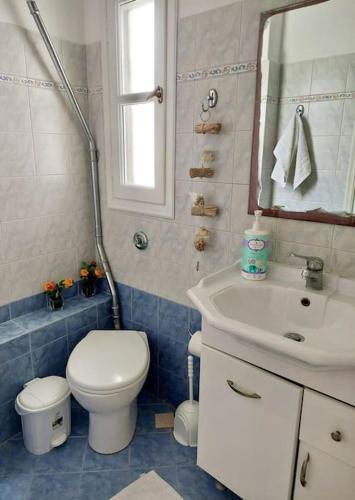 a bathroom with a toilet and a sink and a mirror at Amorgos Aegean Heaven in Amorgos