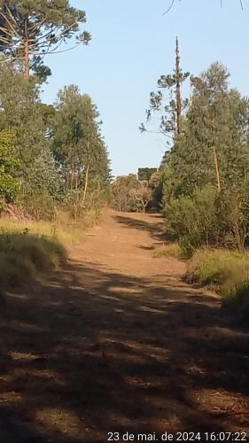 a dirt road with trees on the side of it at Cabana de pesca e lazer Represa Usina Mafra sc in Mafra