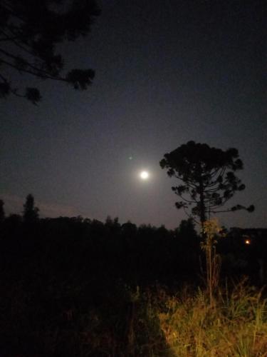 a moonlit night with a tree in a field at Cabana de pesca e lazer Represa Usina Mafra sc in Mafra