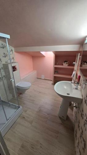 a bathroom with a shower and a sink and a toilet at City Center Stay Apartament cu Parcare Modern & Liniștit in Iaşi